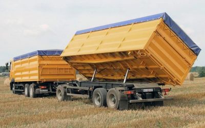 Услуги зерновозов для перевозки зерна - Омск, цены, предложения специалистов