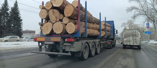 Поиск транспорта для перевозки леса, бревен и кругляка стоимость услуг и где заказать - Омск